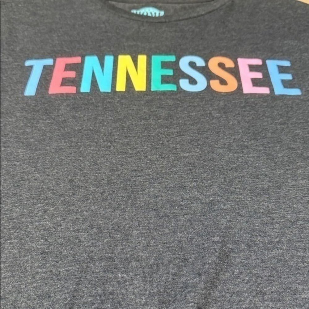 Tennessee Graphic T-Shirt Tee M Gray Multicolor Unisex Crew Neck Top - Picture 4 of 8